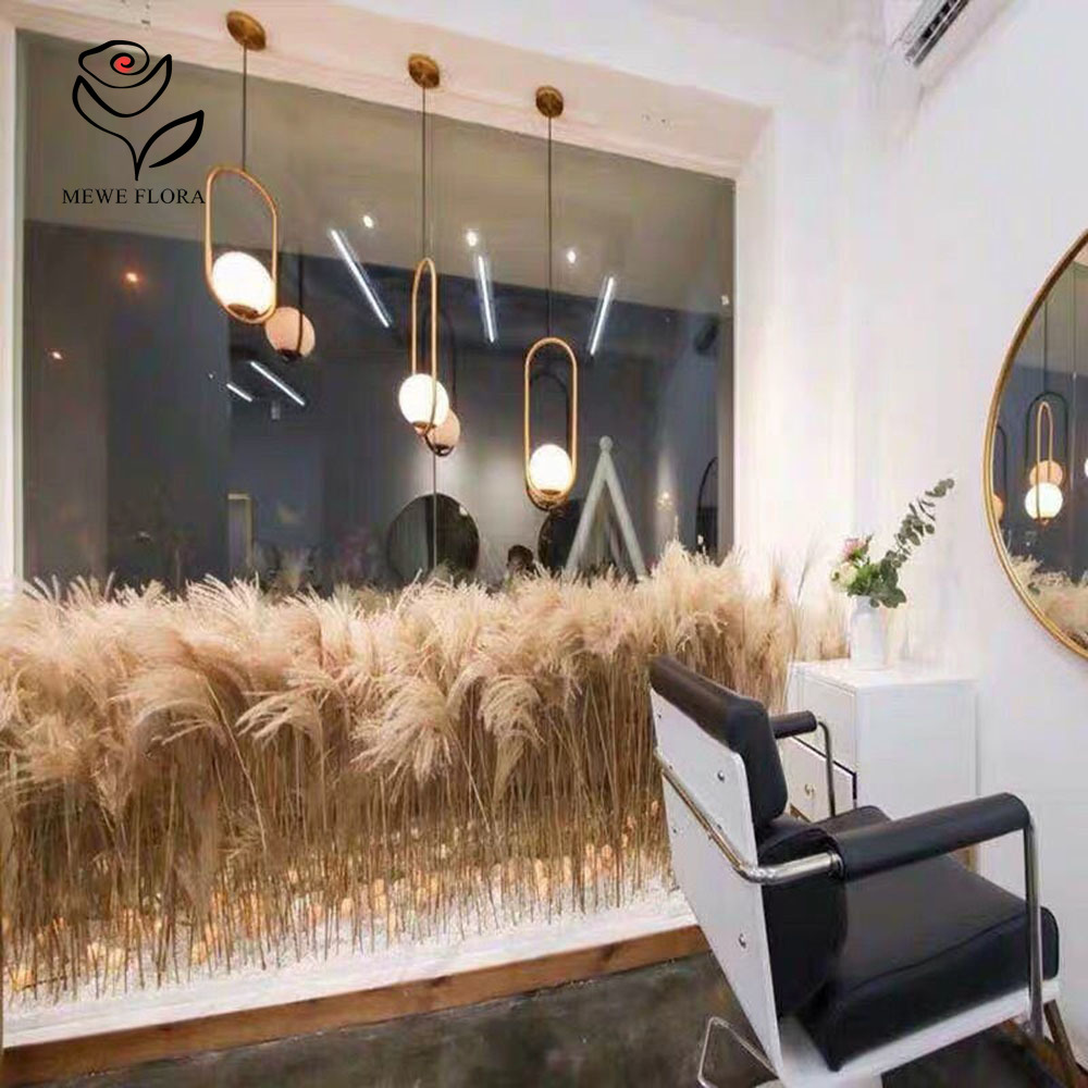 200PCS Natural Dried Fluffy Re - Quiet Luxury Lifestyle 评论和价格