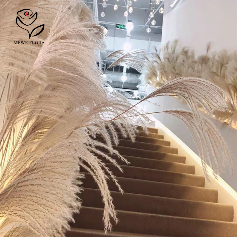 200PCS Natural Dried Fluffy Re - Quiet Luxury Lifestyle 评论和价格