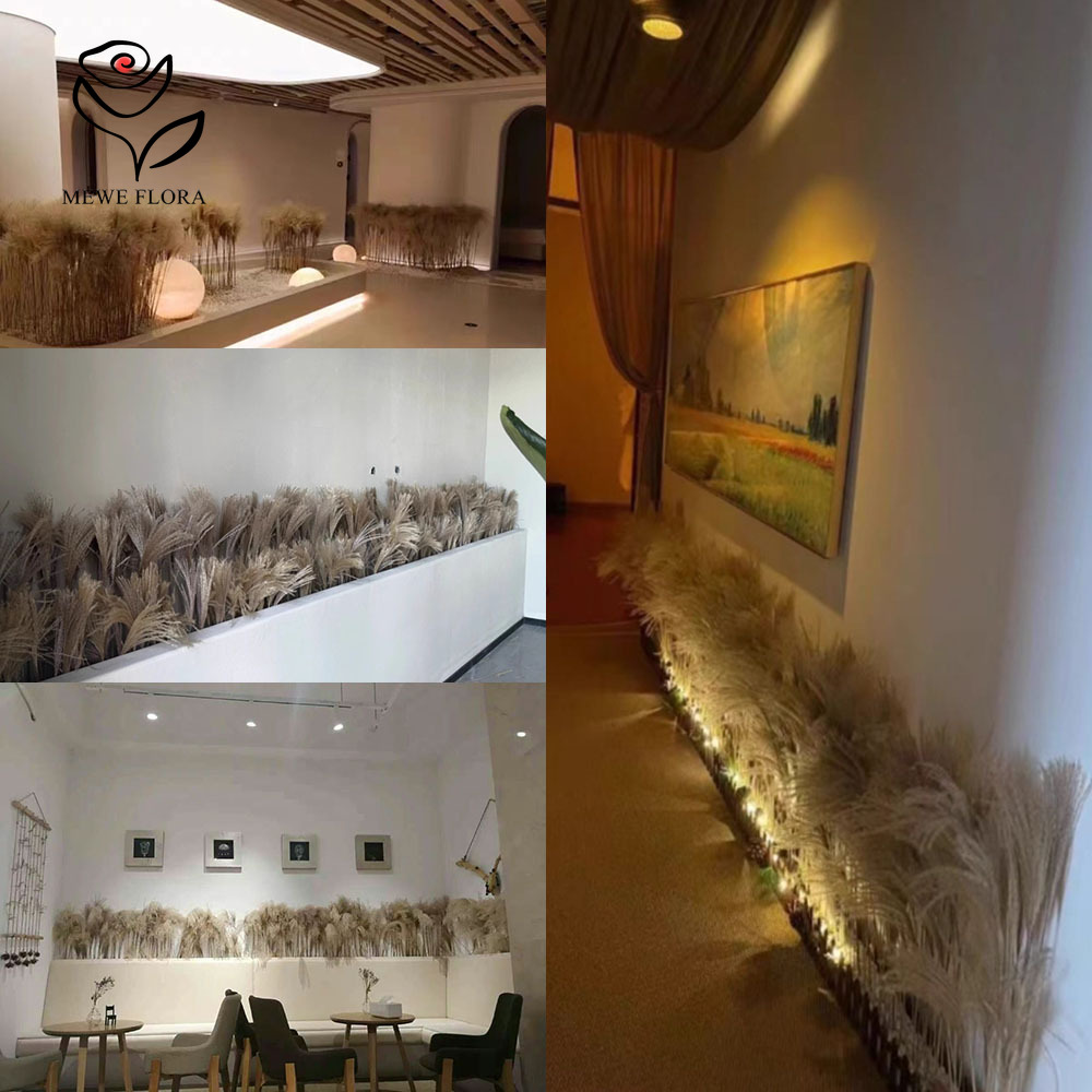 200PCS Natural Dried Fluffy Re - Quiet Luxury Lifestyle 评论和价格